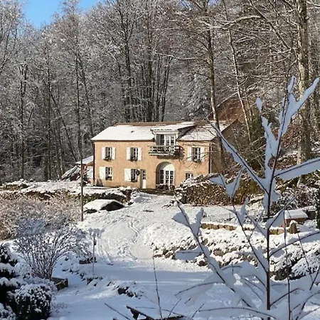 Du Bois Des Hauts Les Mille Etangs Prázdninový dům La Lanterne-et-les-Armonts